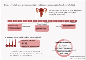 Cómo saber los días fértiles y síntomas de la ovulación