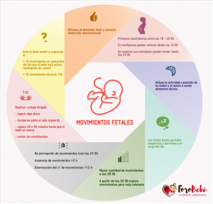 Movimientos fetales infografía